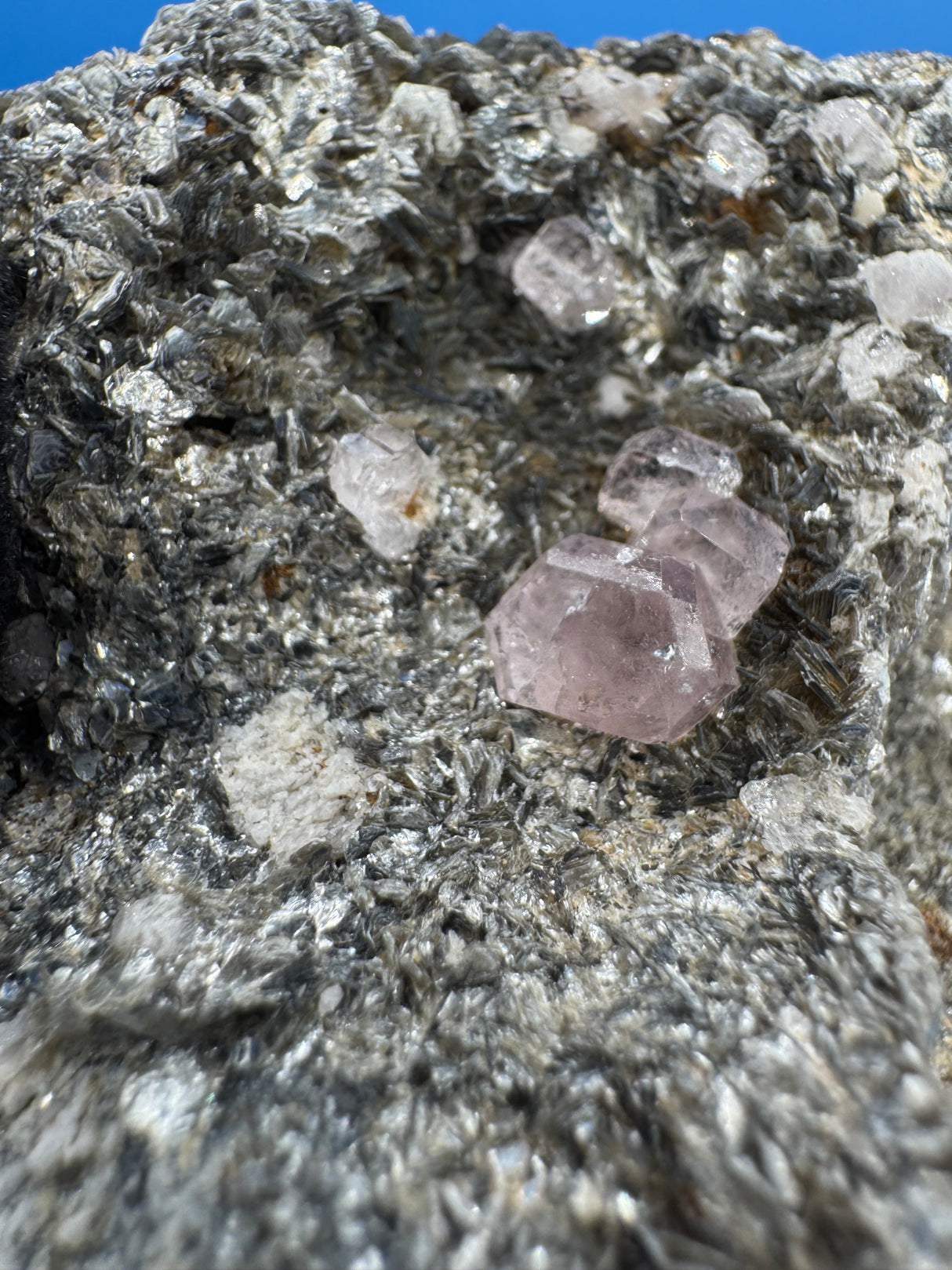 Pink Appetite Specimen - 424g