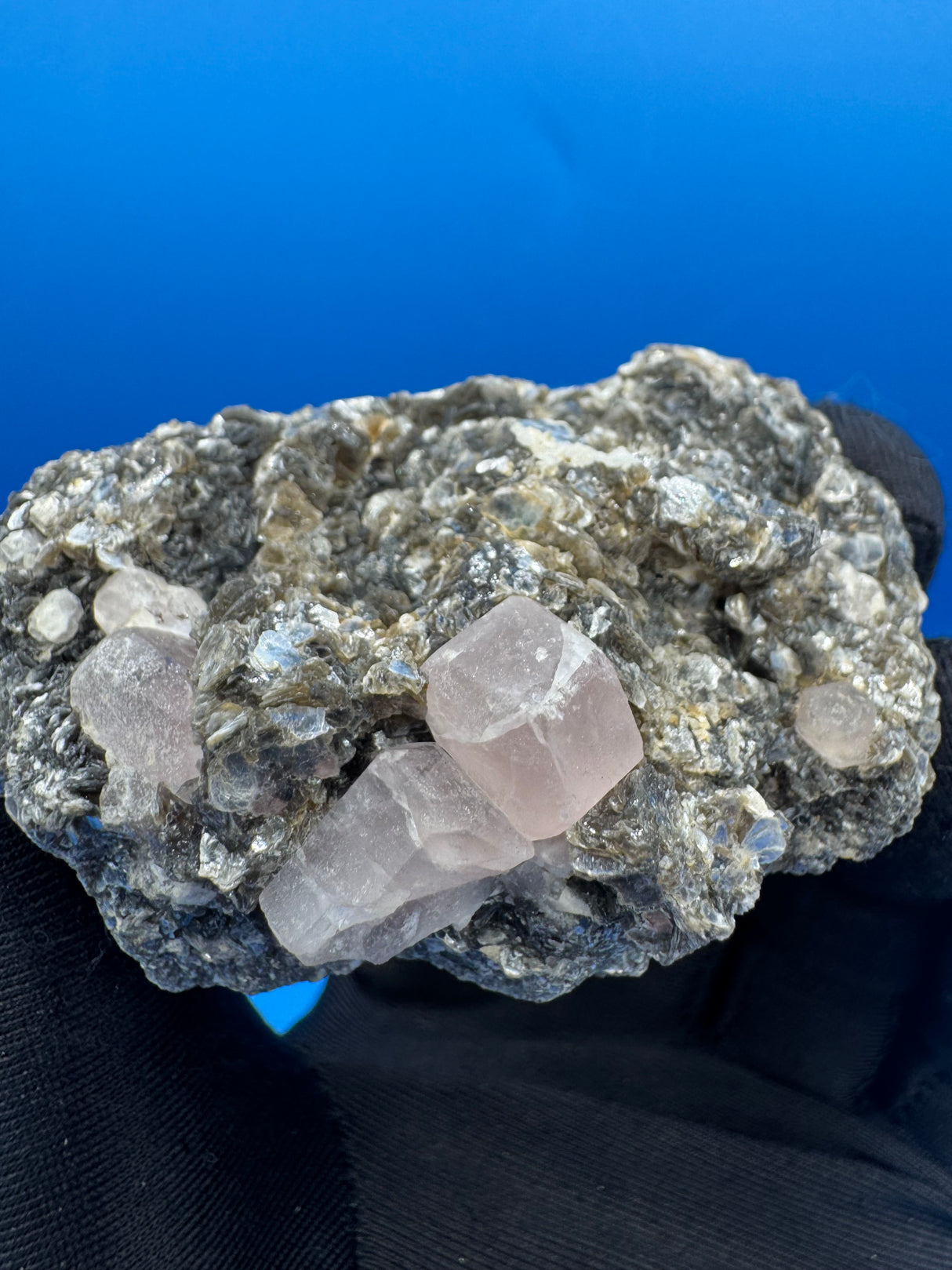 Pink Appetite Specimen - 125g