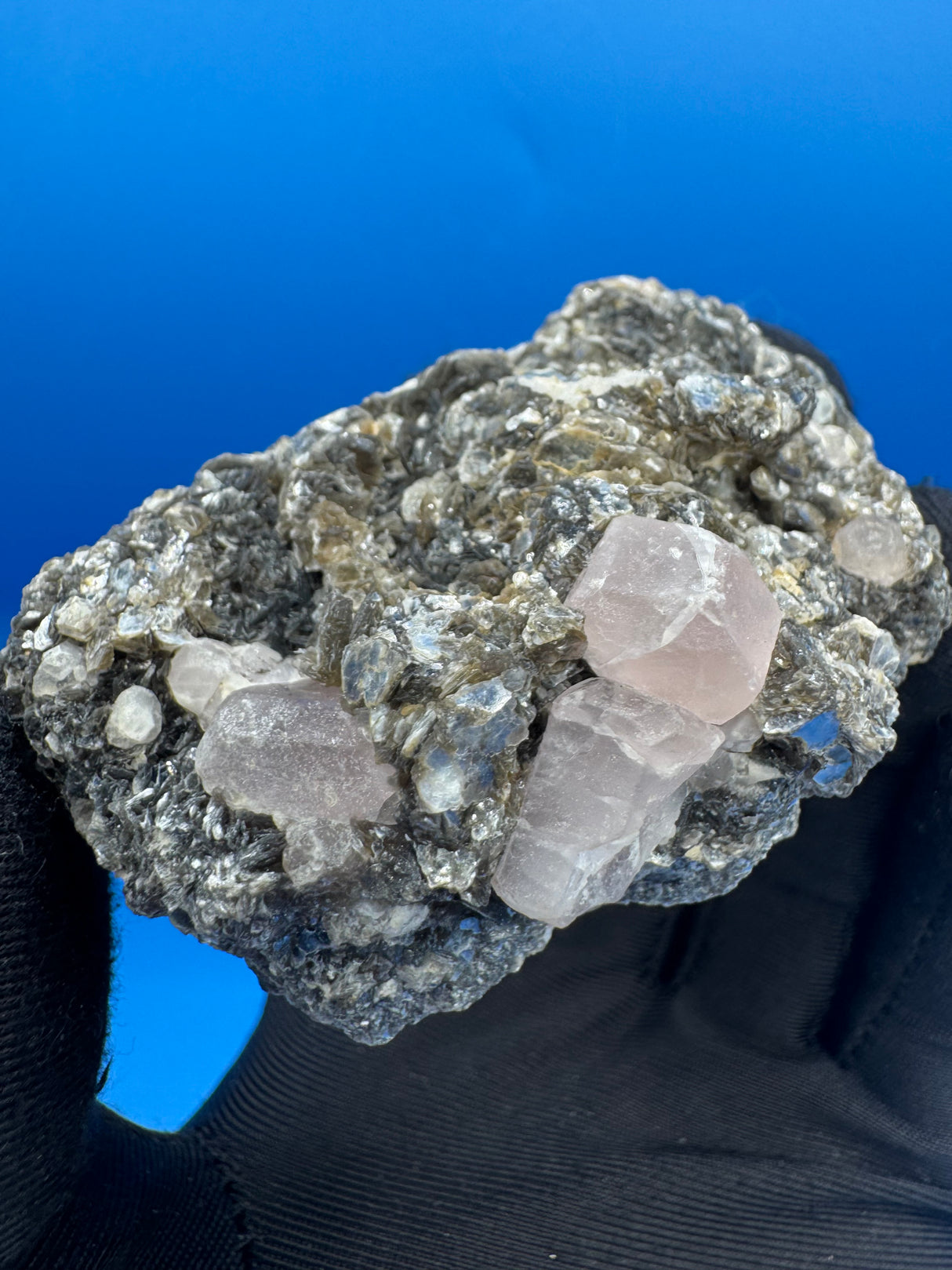 Pink Appetite Specimen - 125g