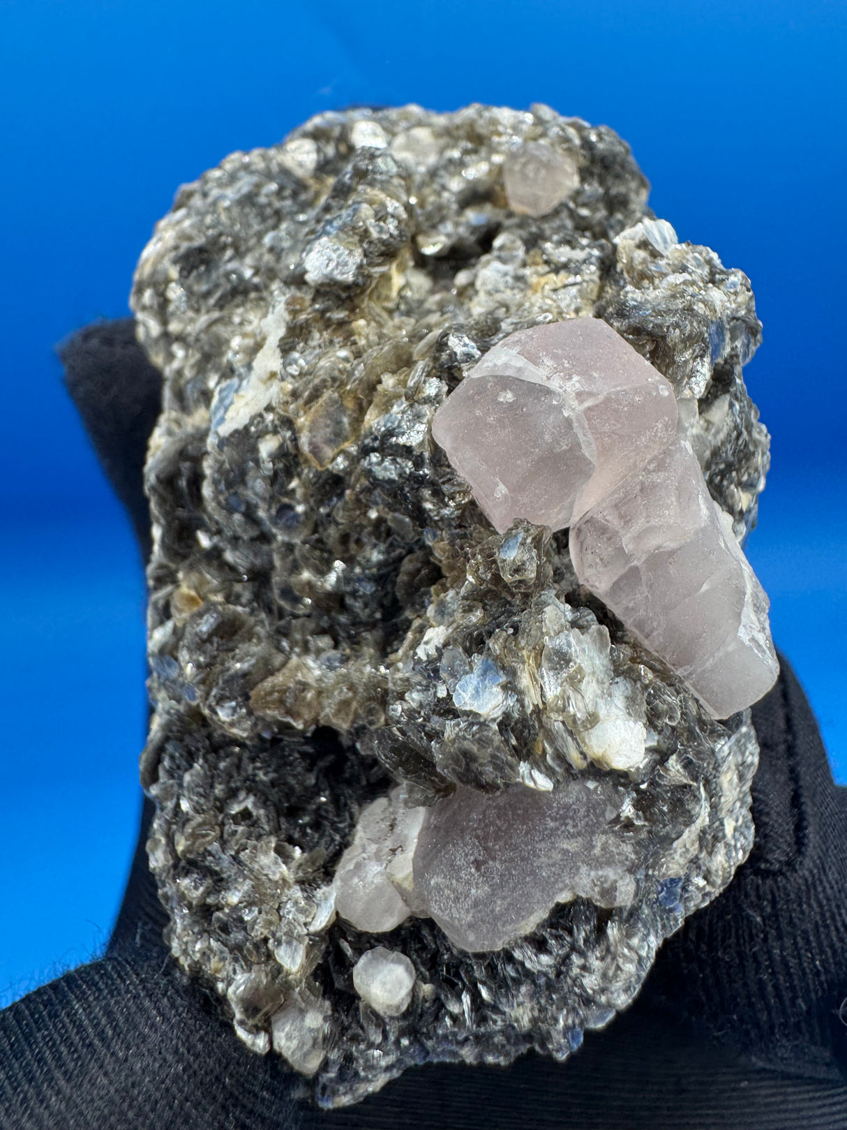 Pink Appetite Specimen - 125g