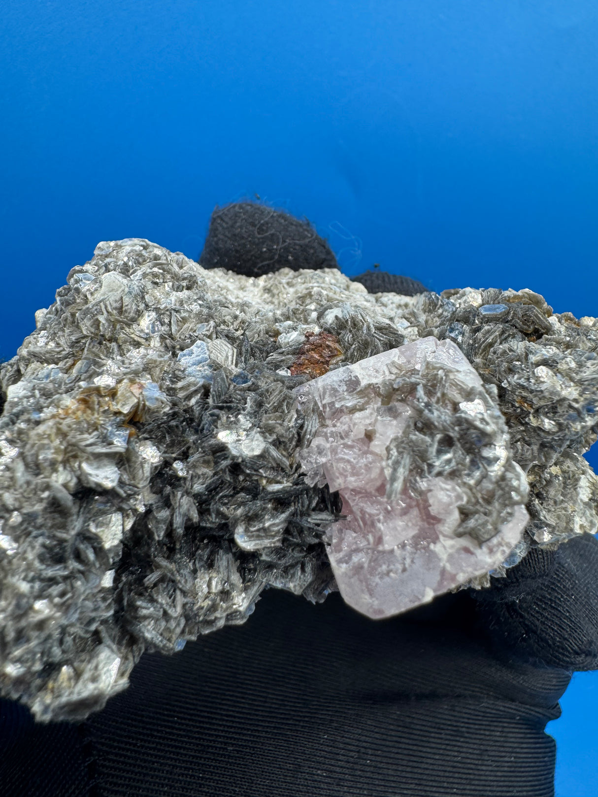 Pink Appetite Specimen - 81g