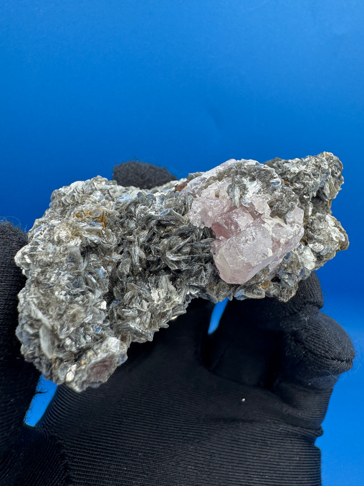 Pink Appetite Specimen - 81g