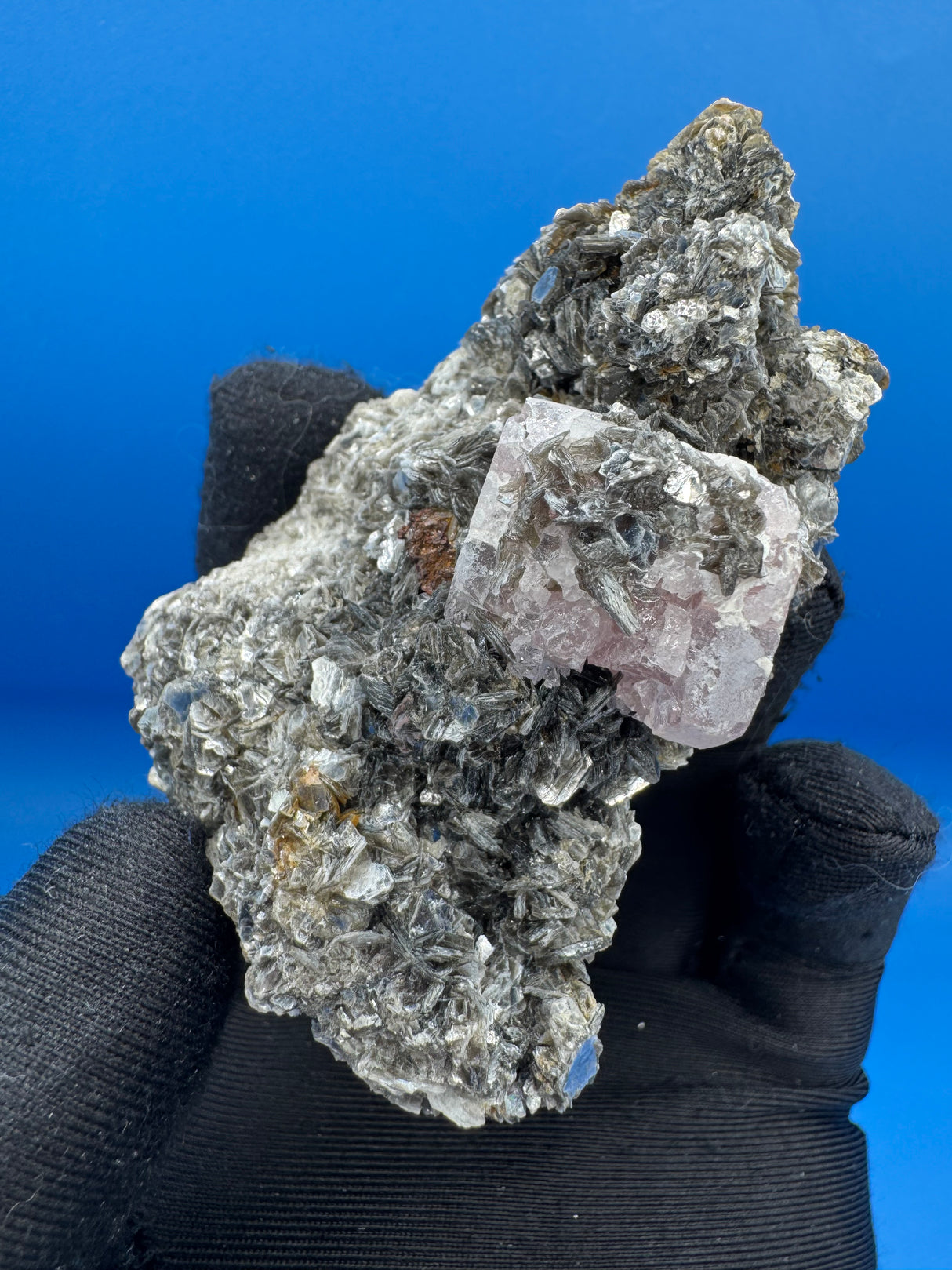 Pink Appetite Specimen - 81g