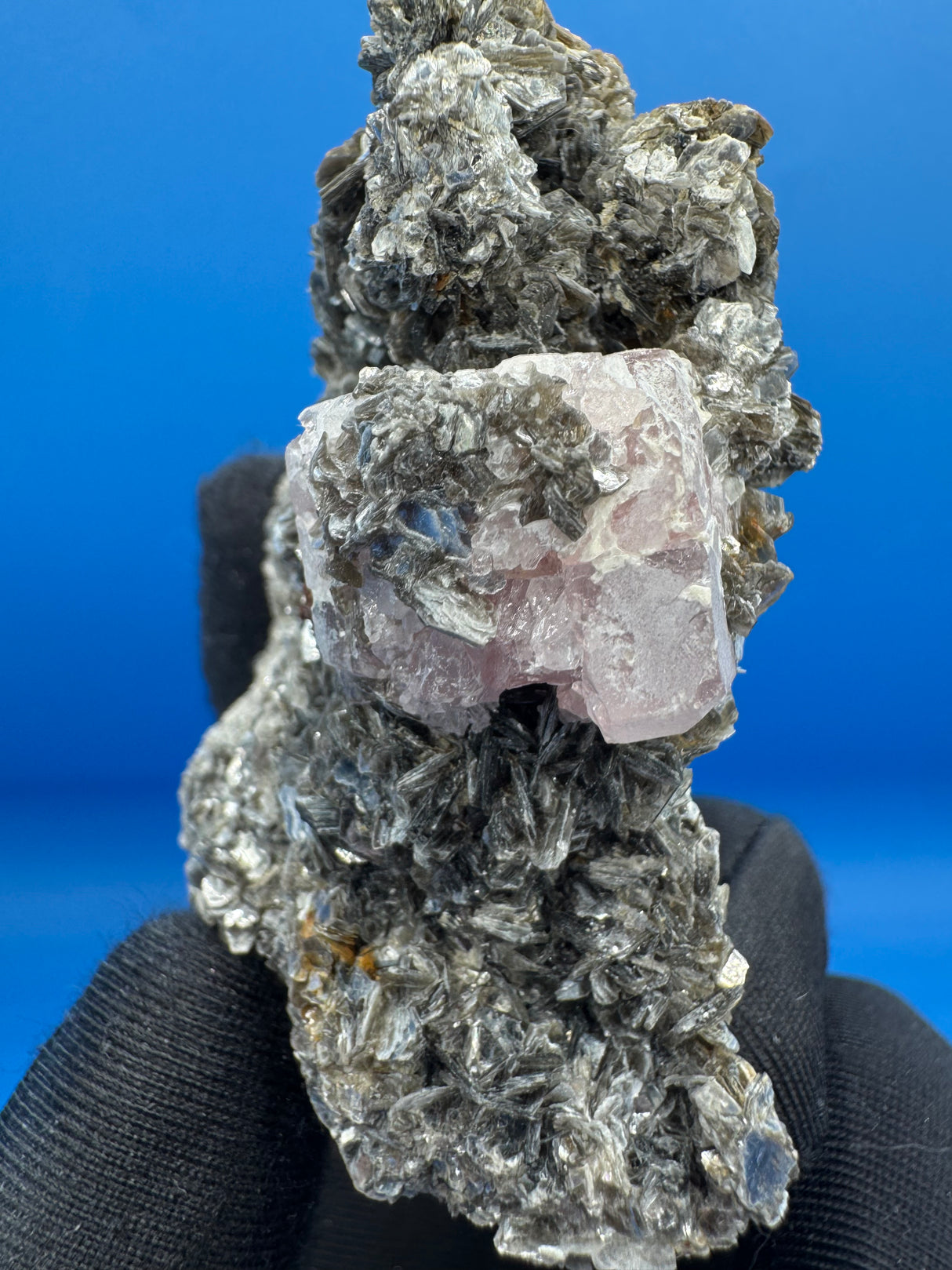 Pink Appetite Specimen - 81g