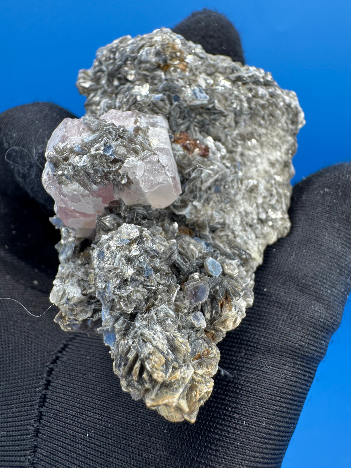 Pink Appetite Specimen - 81g