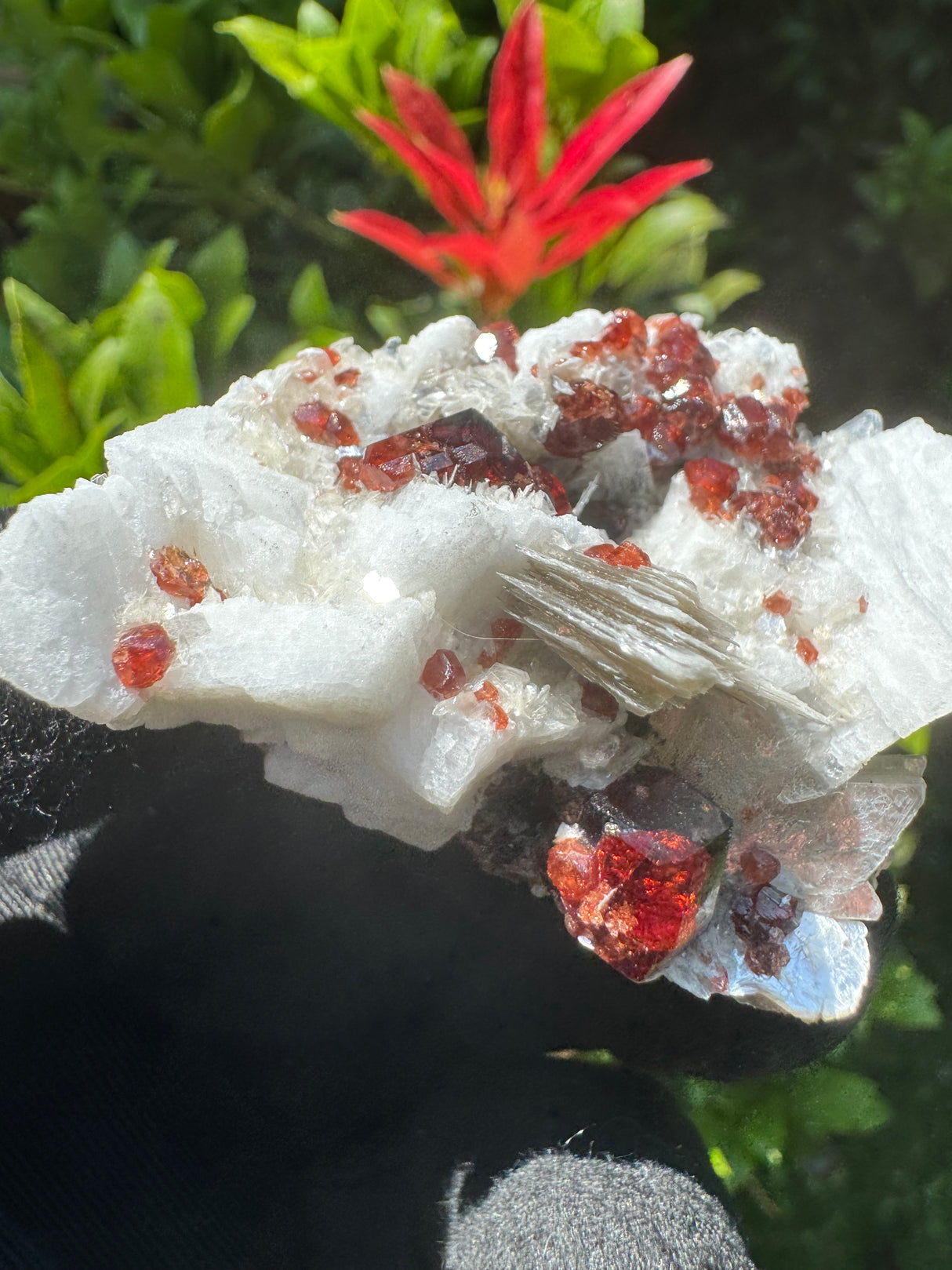 Garnet on Star Mica Specimen - 48g