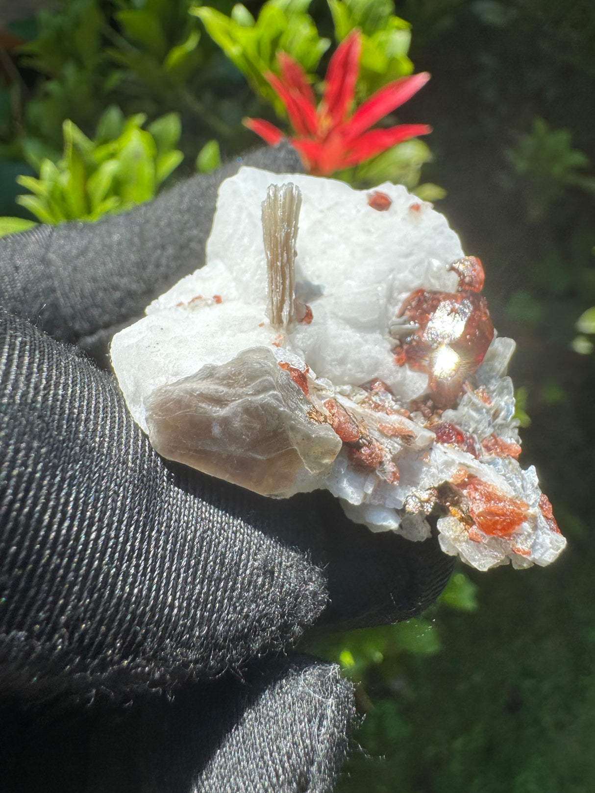 Garnet on Star Mica Specimen - 28g