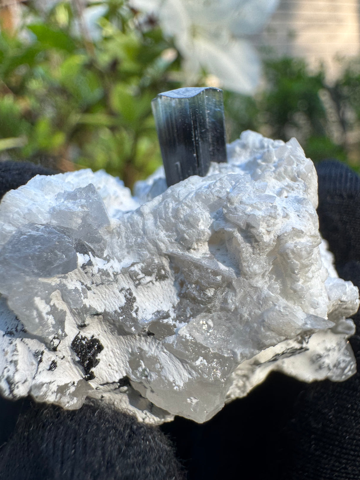 Blue Cap Tourmaline - 43g