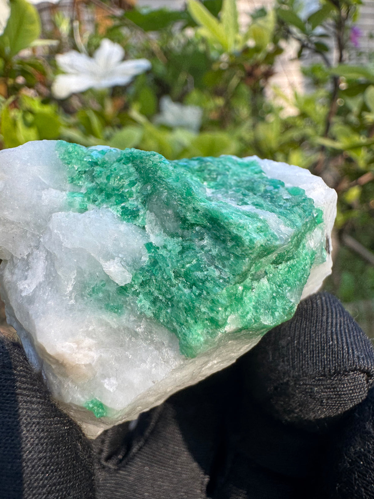 Emerald Specimen - 76g