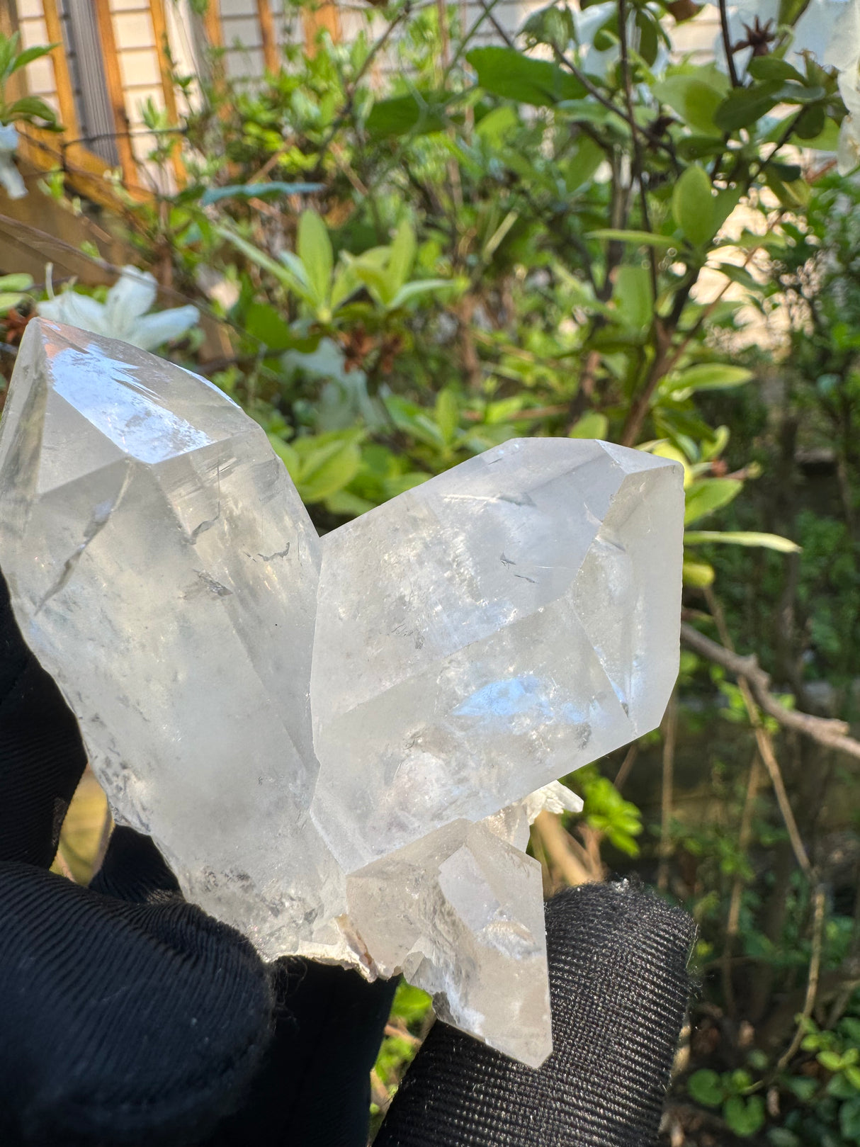 Quartz Specimen - 171g