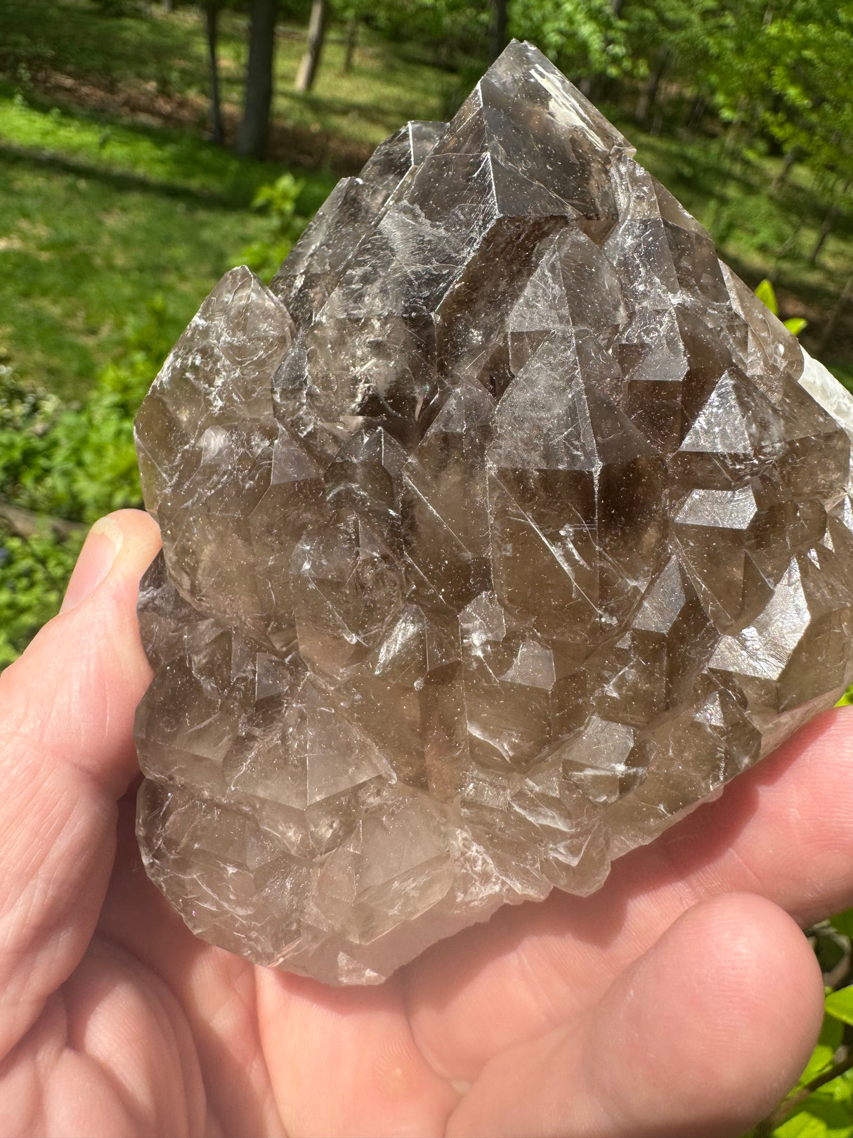 Smoky Quartz Specimen - 532g