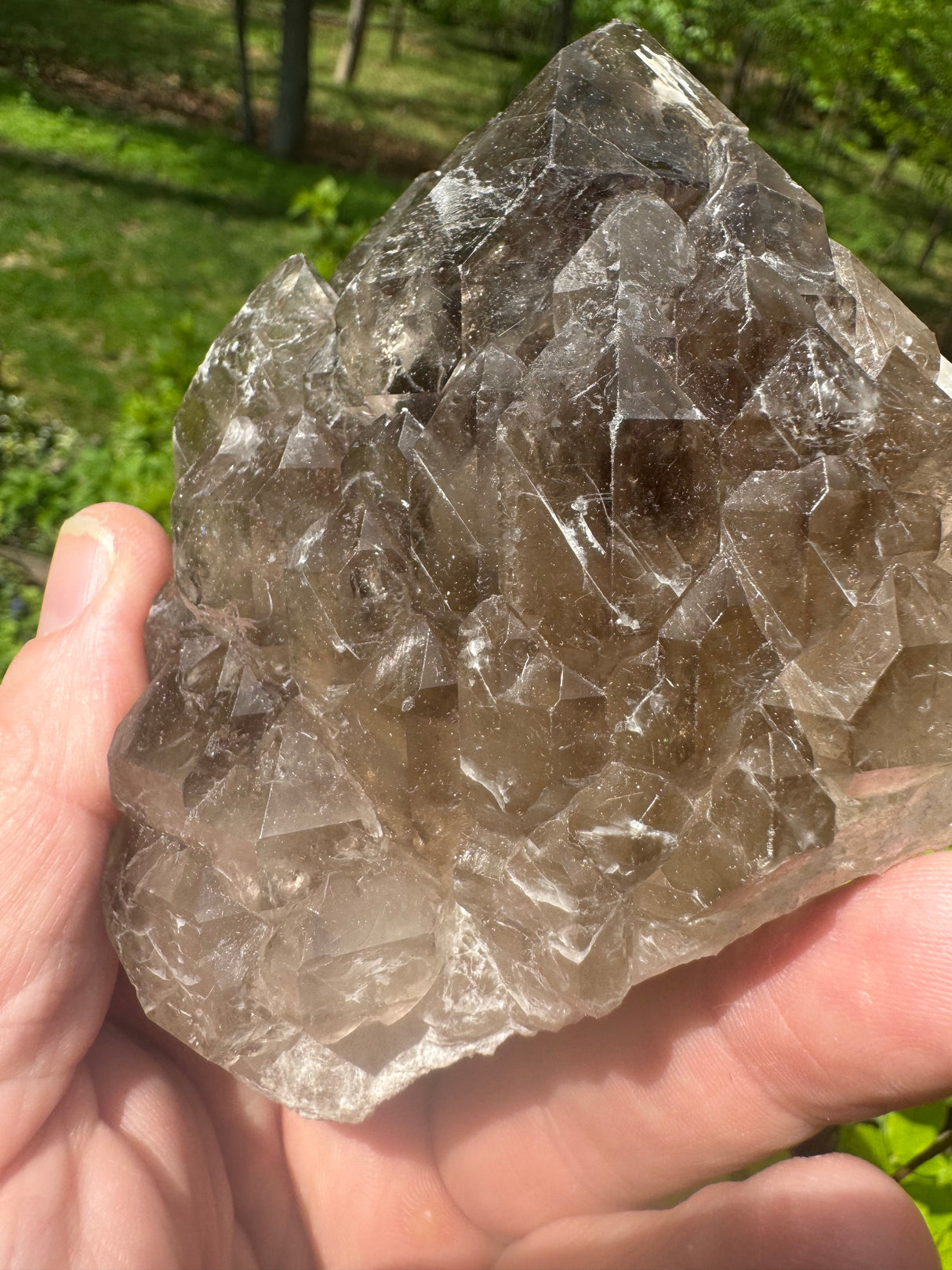 Smoky Quartz Specimen - 532g