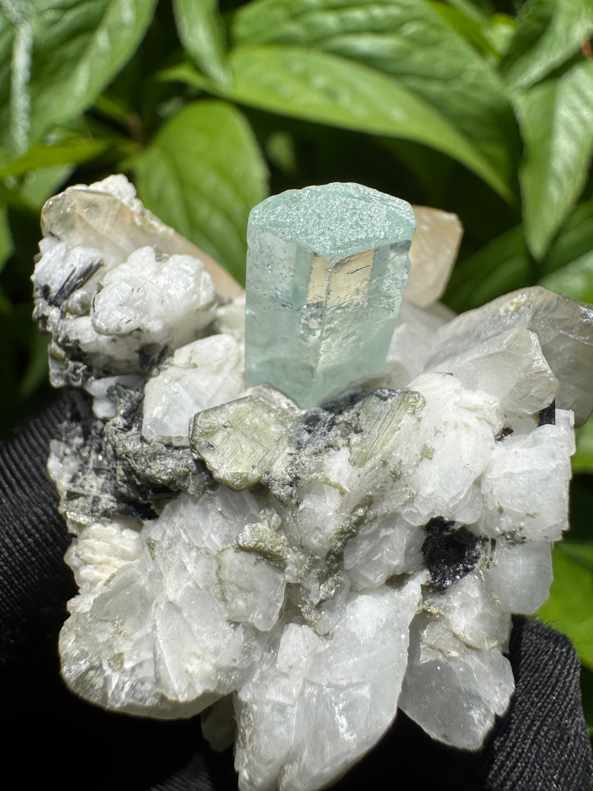 Aquamarine Specimen - 81g