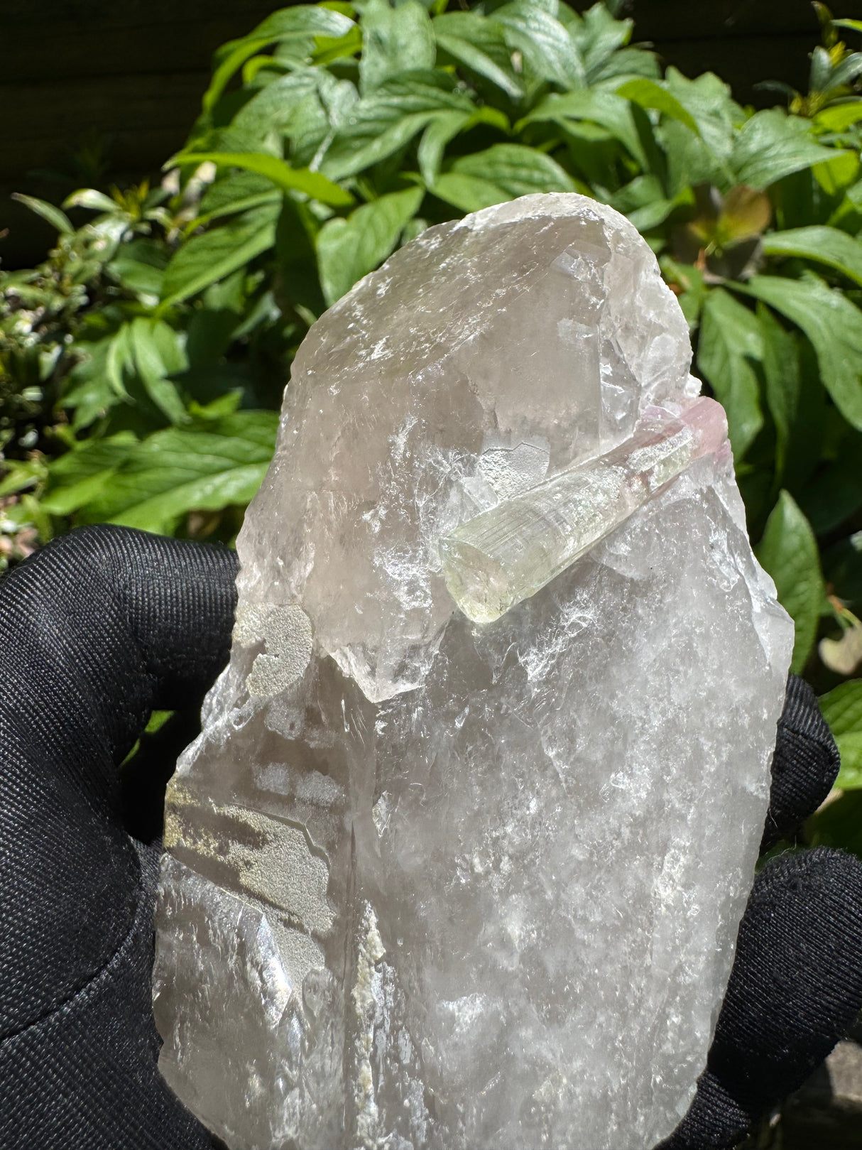 Tourmaline Specimen - 527g