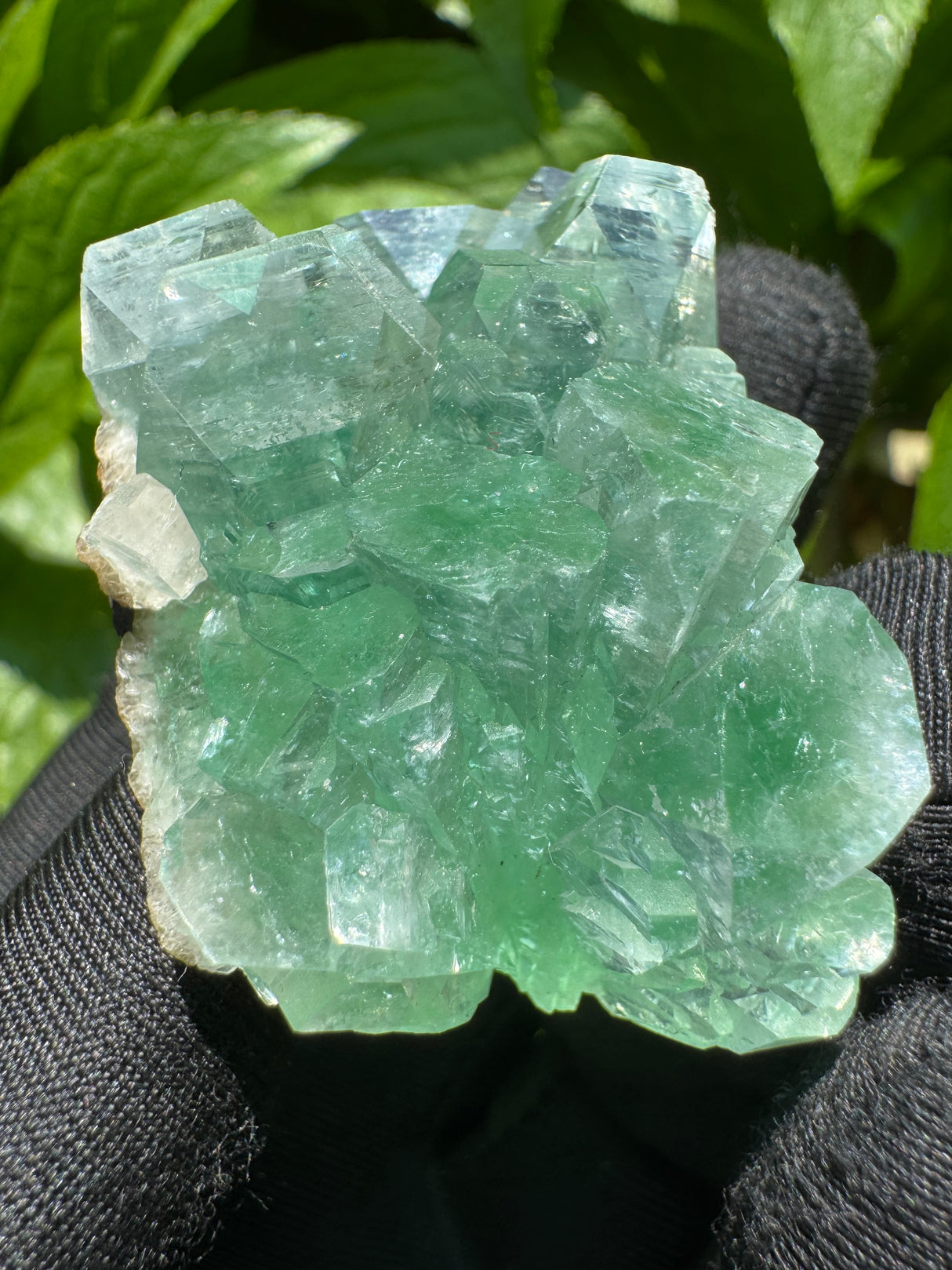 Green Apophyllite - 57g