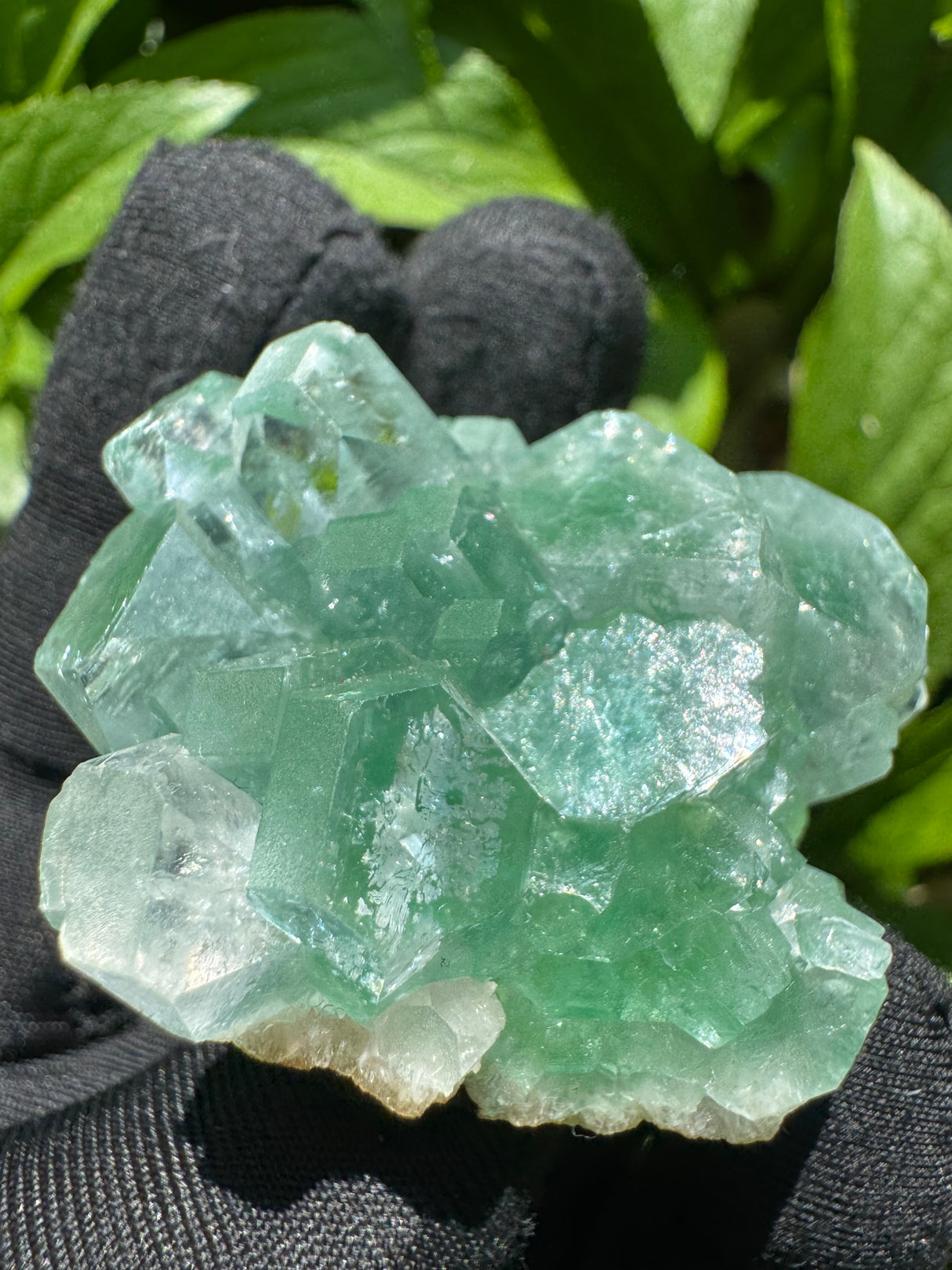 Green Apophyllite - 57g