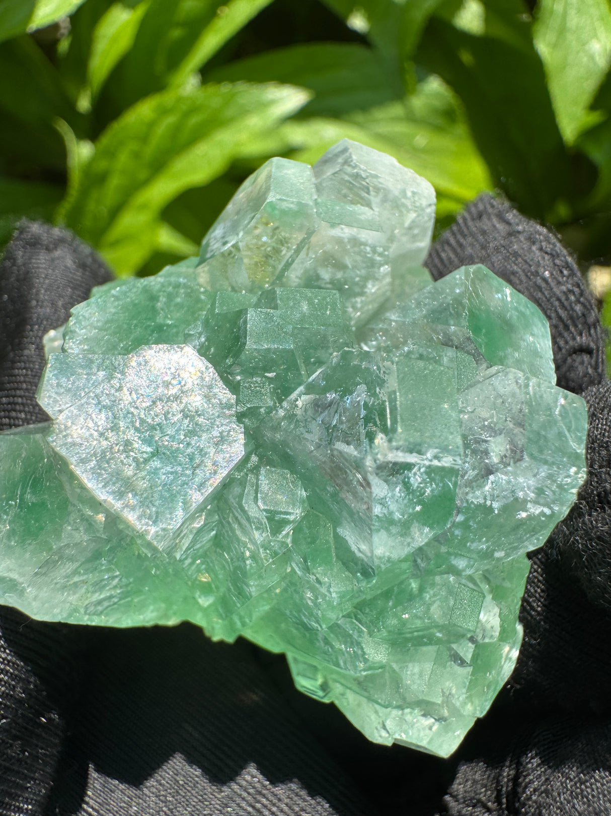 Green Apophyllite - 57g