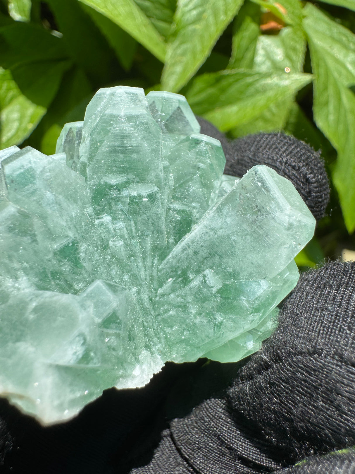 Green Apophyllite - 42g