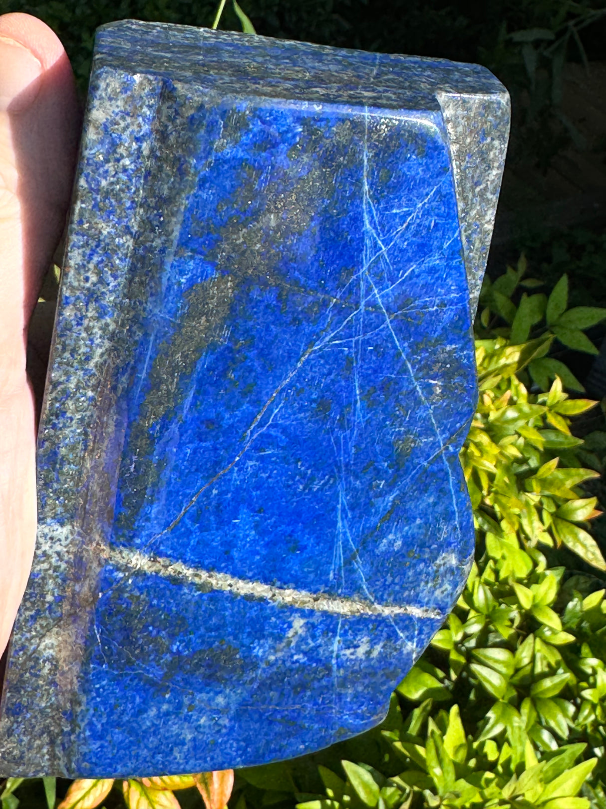 Lapis Specimen - 3.72lb