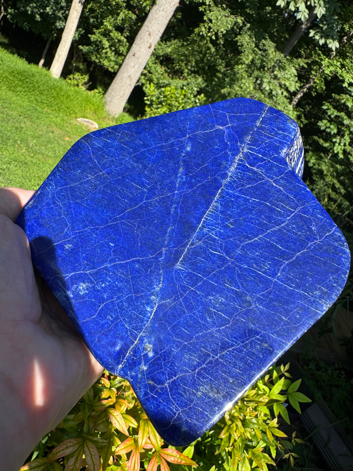 Lapis Specimen - 2.88lb