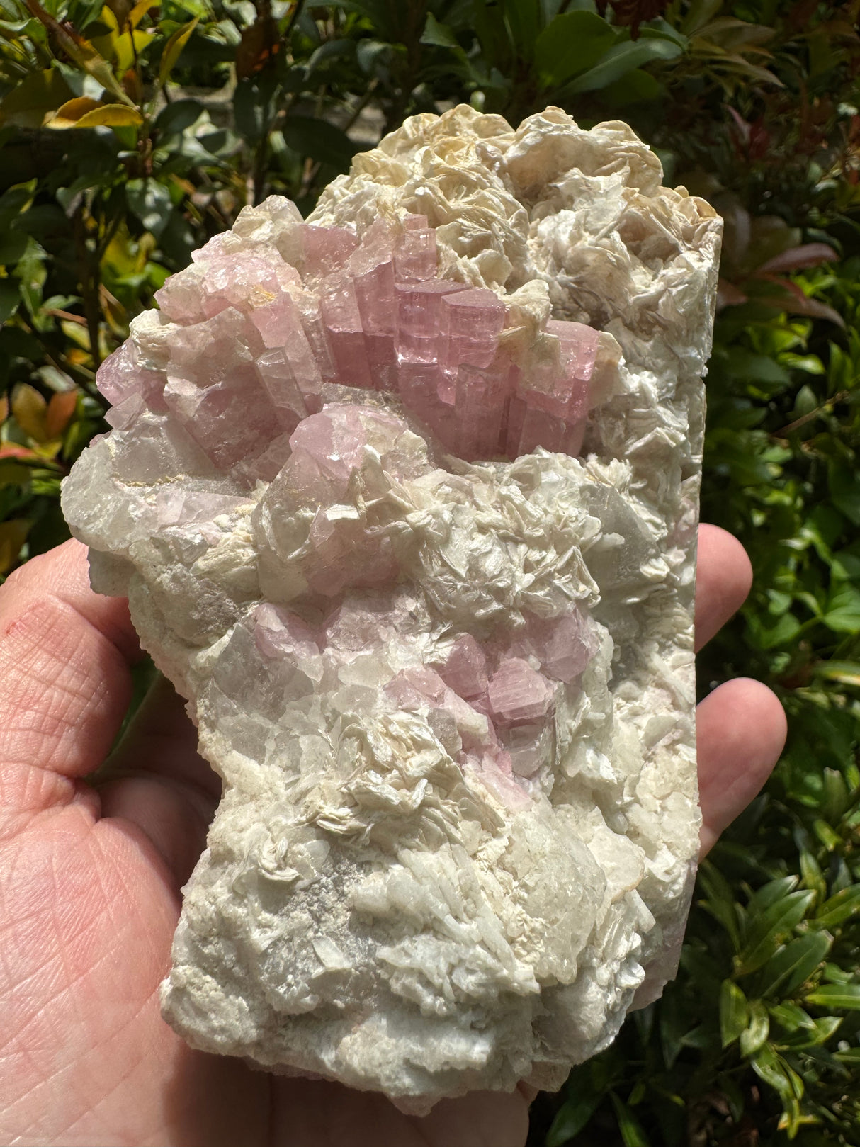 Pink Tourmaline Speicmen - 1027g