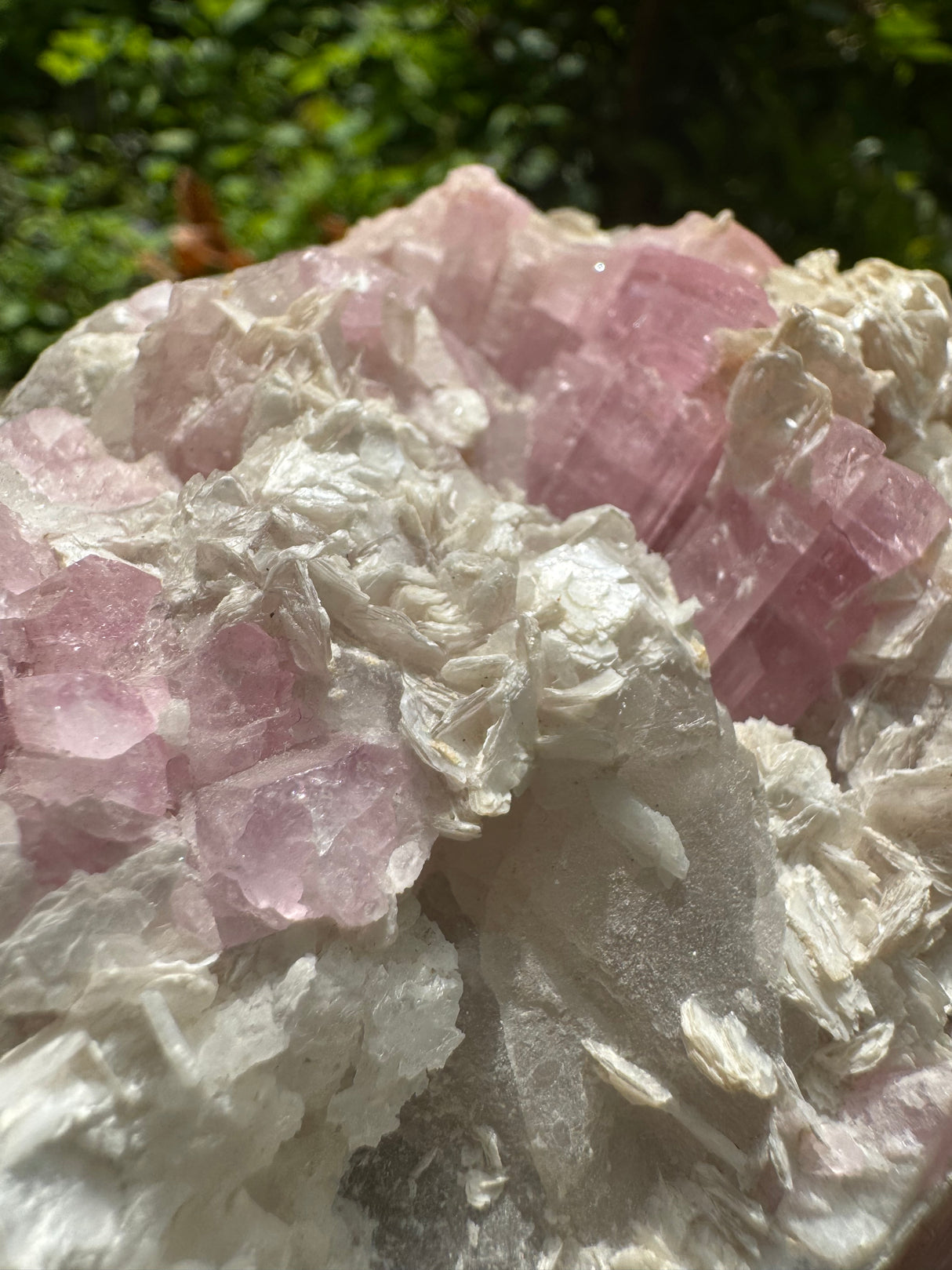 Pink Tourmaline Speicmen - 1027g