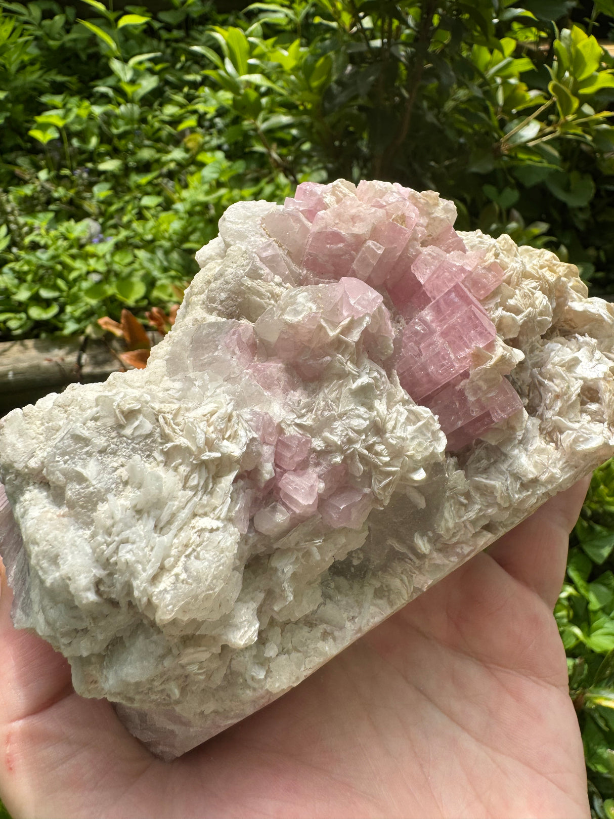 Pink Tourmaline Speicmen - 1027g