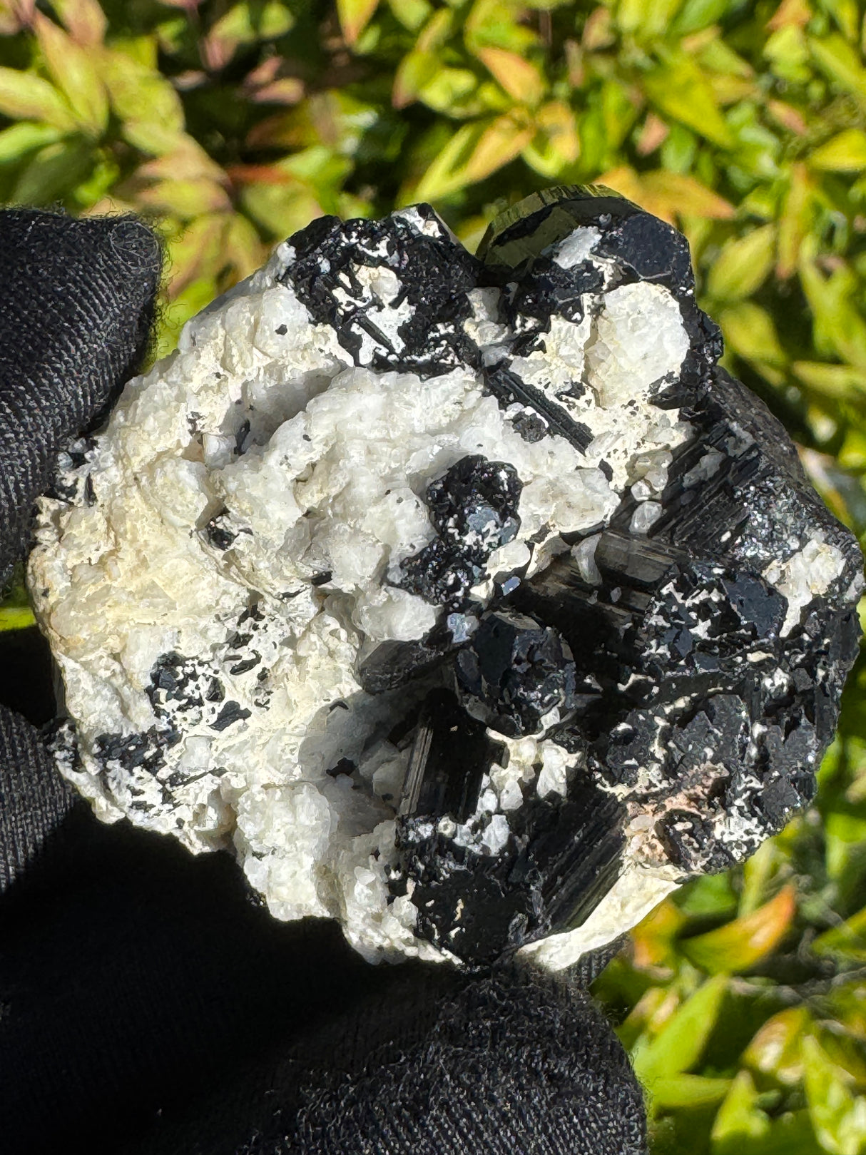 Black Tourmaline Specimen - 81g
