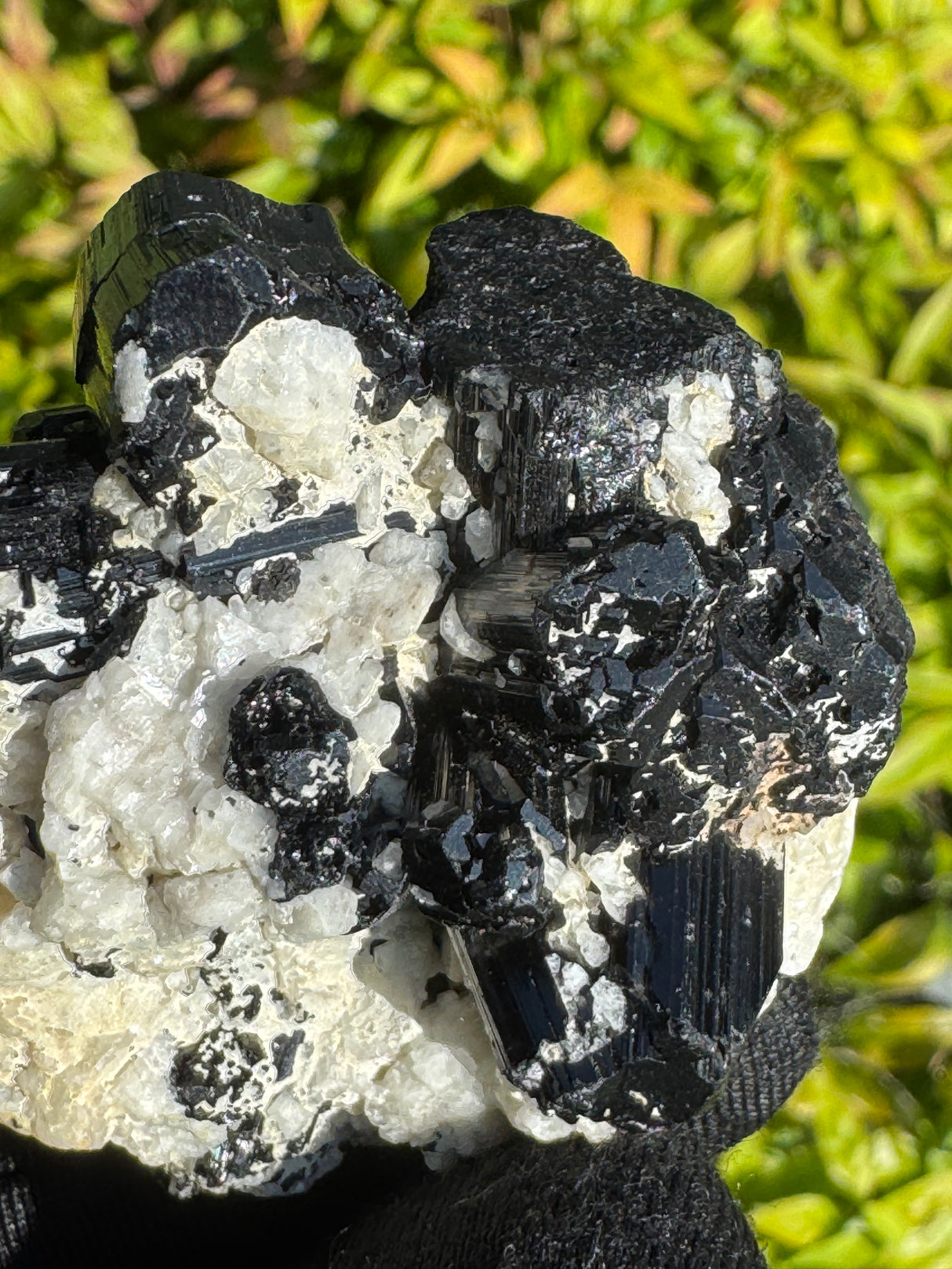 Black Tourmaline Specimen - 81g
