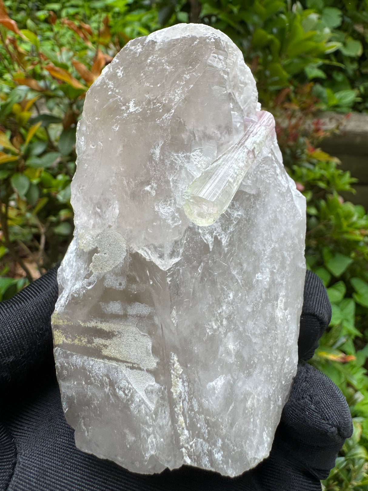 Tourmaline on Quartz Specimen - 528g