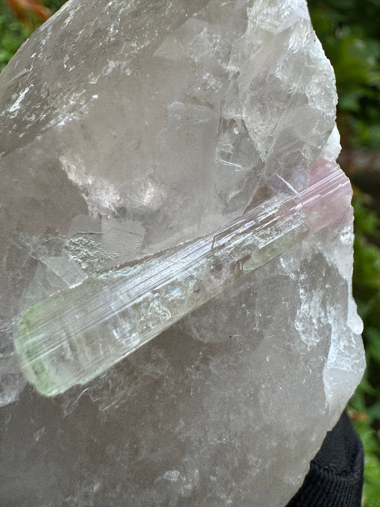 Tourmaline on Quartz Specimen - 528g
