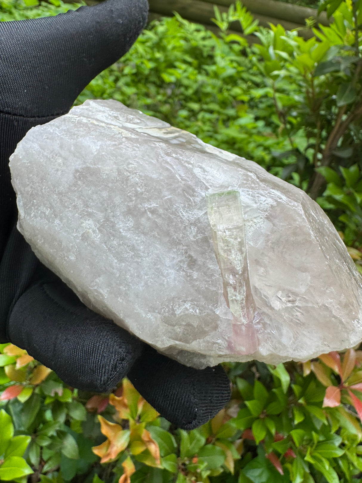 Tourmaline on Quartz Specimen - 528g