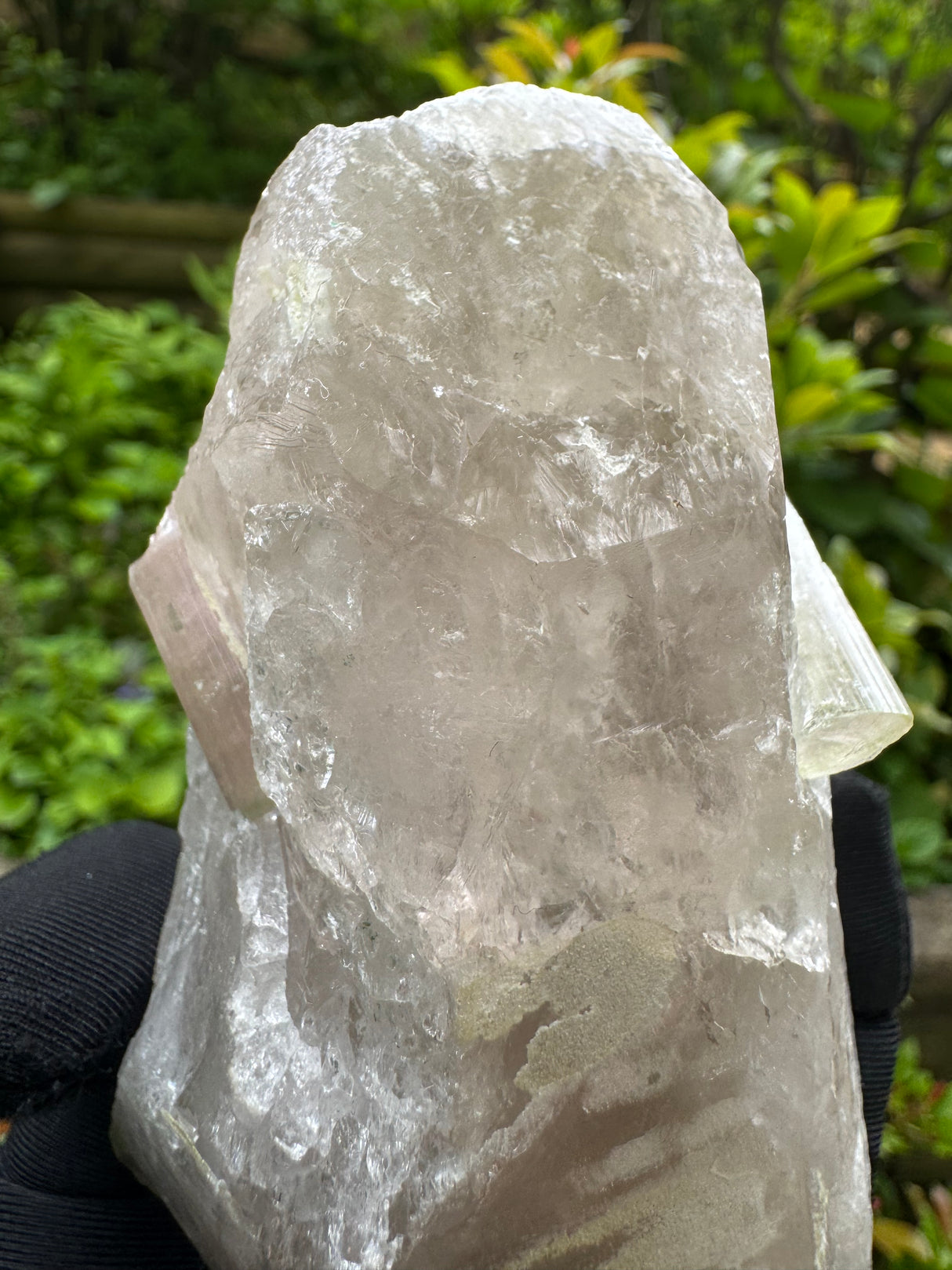 Tourmaline on Quartz Specimen - 528g