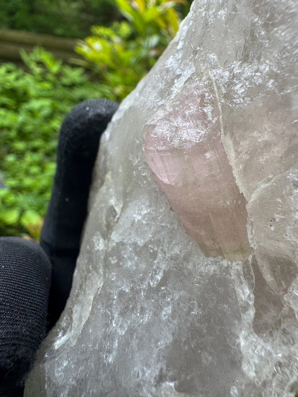 Tourmaline on Quartz Specimen - 528g