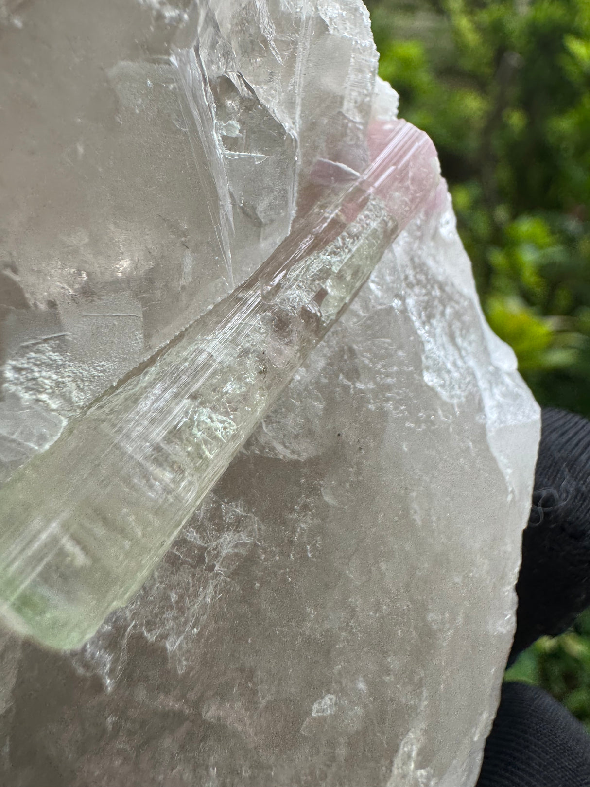 Tourmaline on Quartz Specimen - 528g