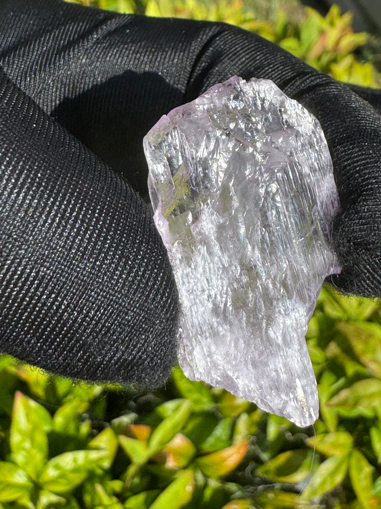 Kunzite Crystals - 18g