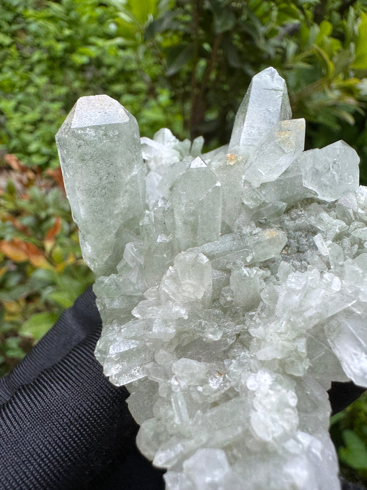 Chlorite Quarz - 120g
