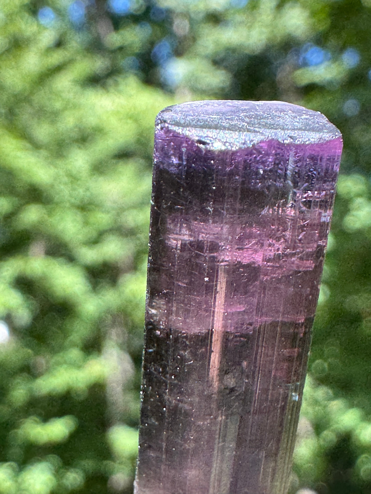 Tourmaline Crystal - 8.65g