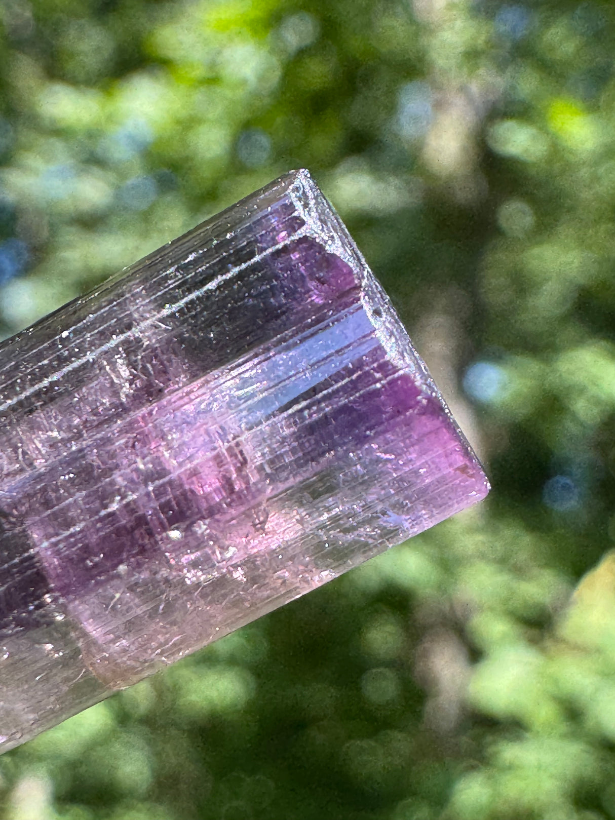 Tourmaline Crystal - 8.65g