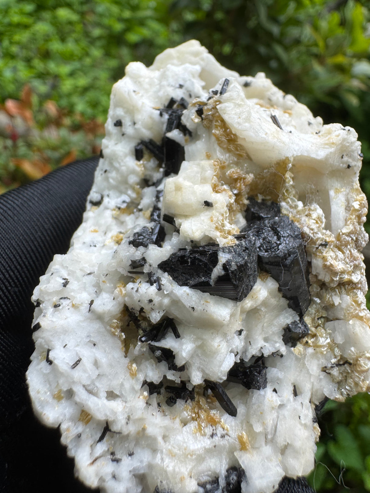 Black Tourmaline Specimen - 100g