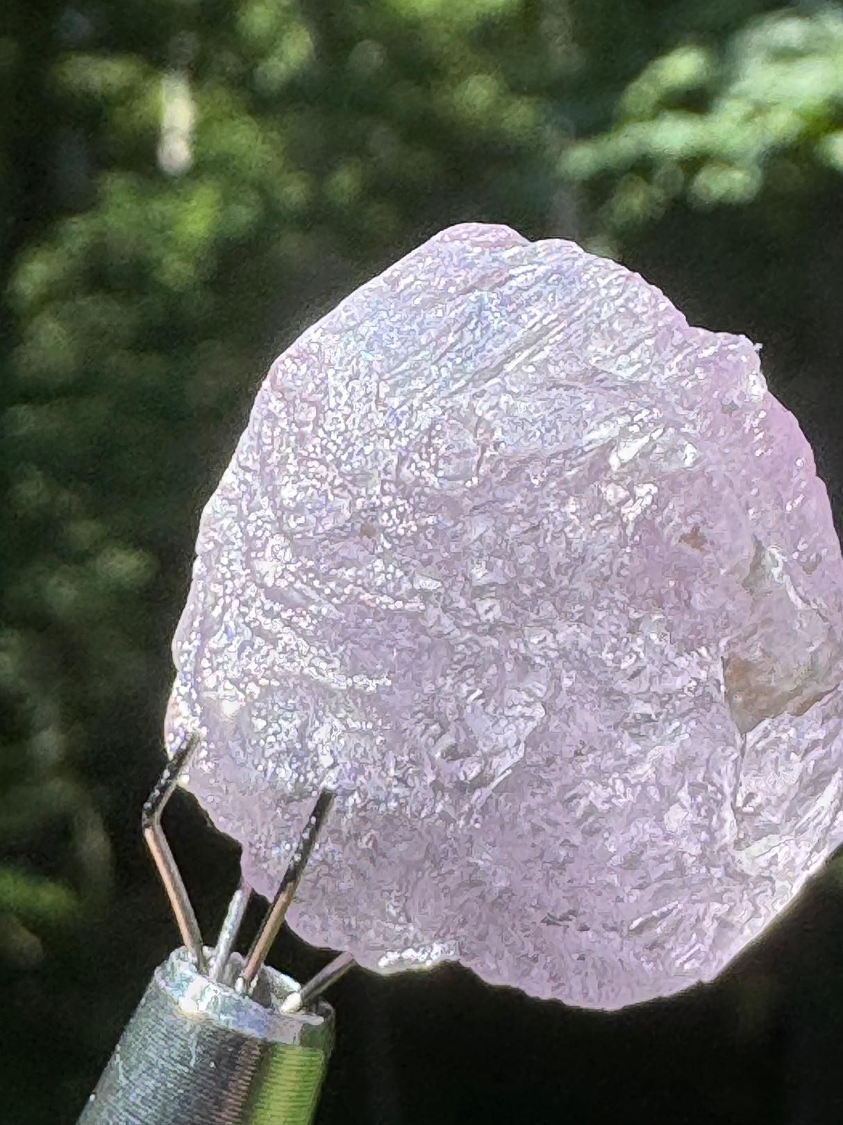 Kunzite Crystals - 35g