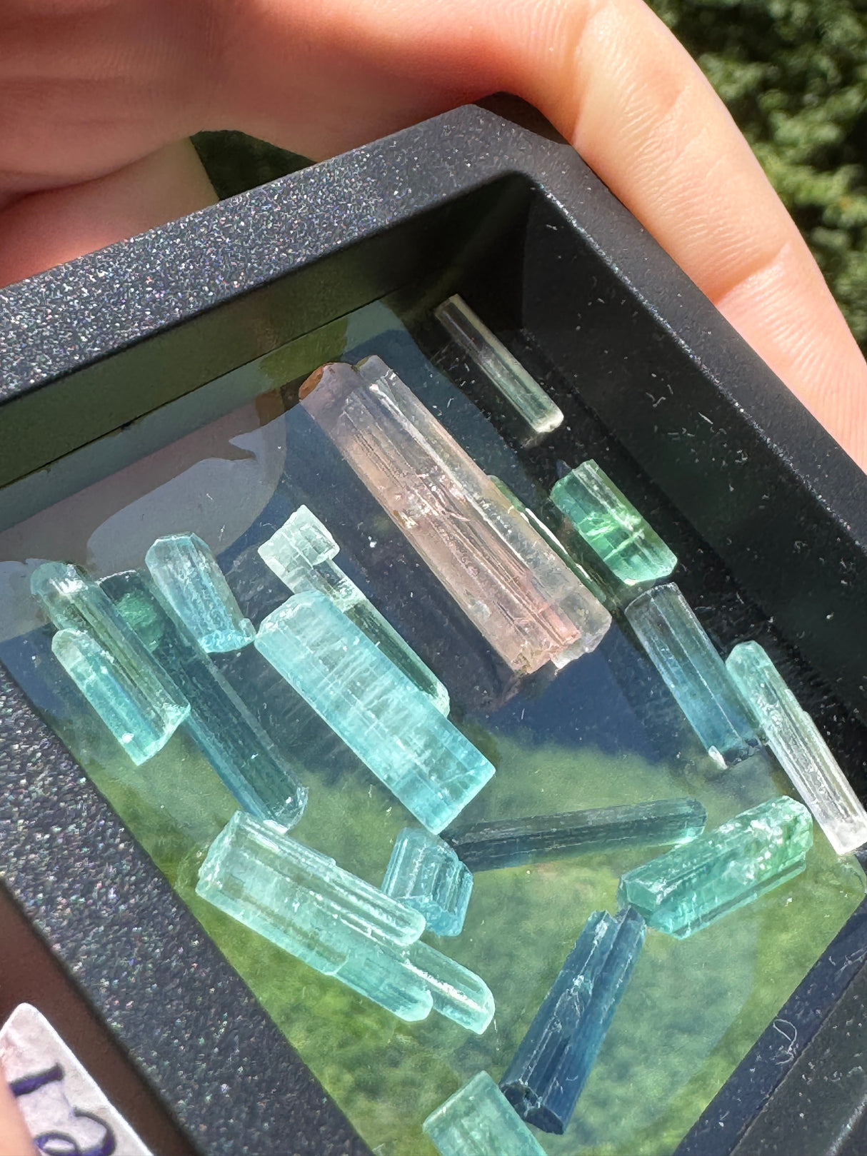 Pink Tourmaline Specimen - 12g