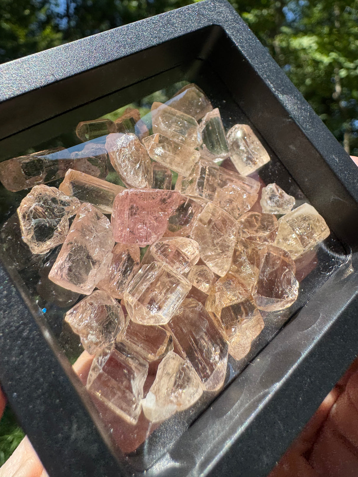 Topaz Crystals Lot w/ case - 36g