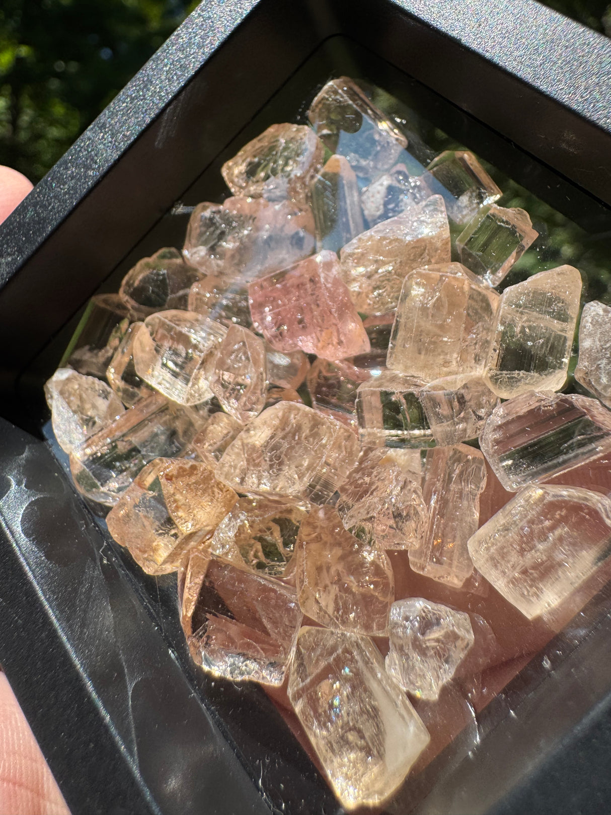 Topaz Crystals Lot w/ case - 36g