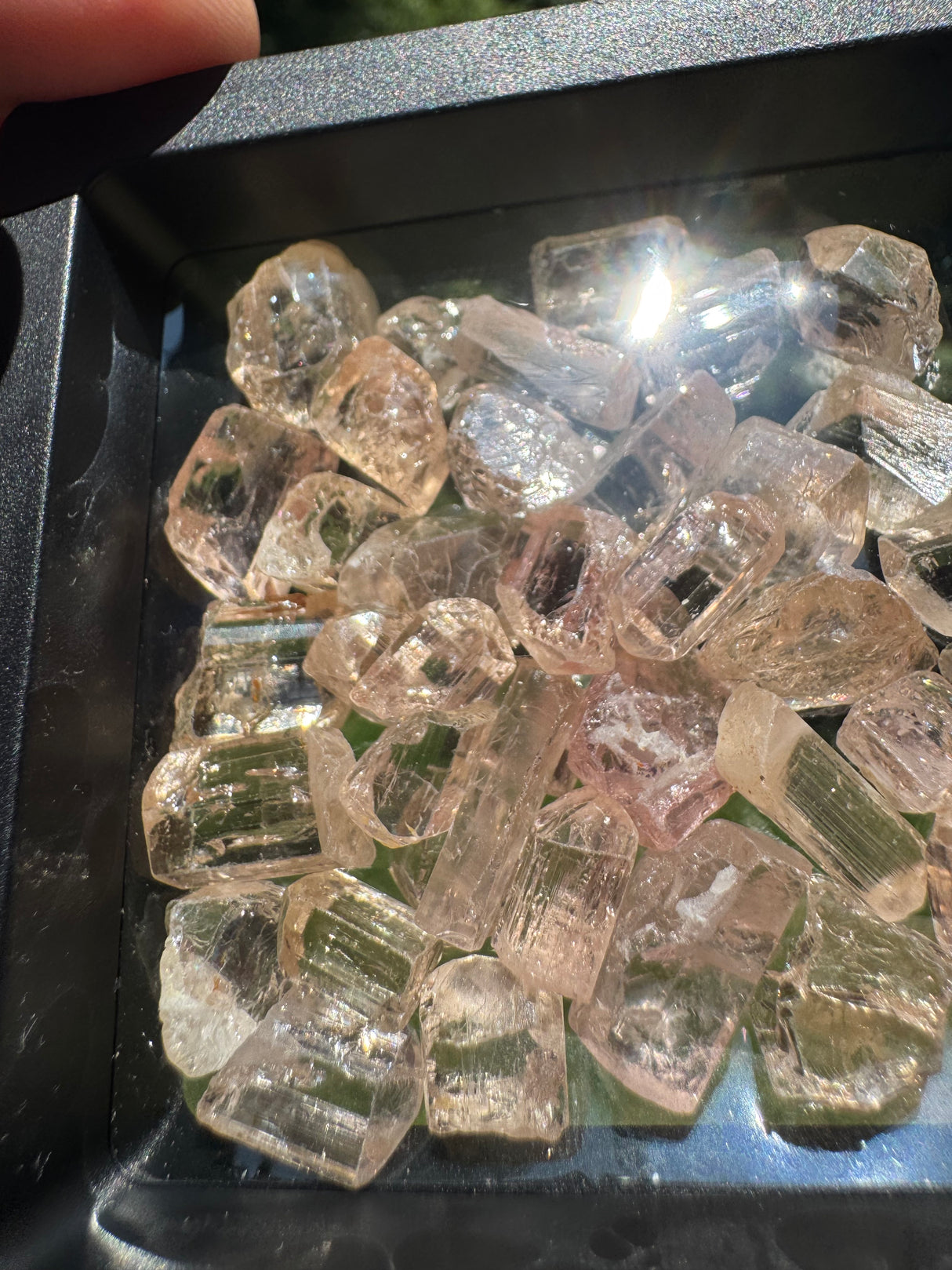 Topaz Crystals Lot w/ case - 36g