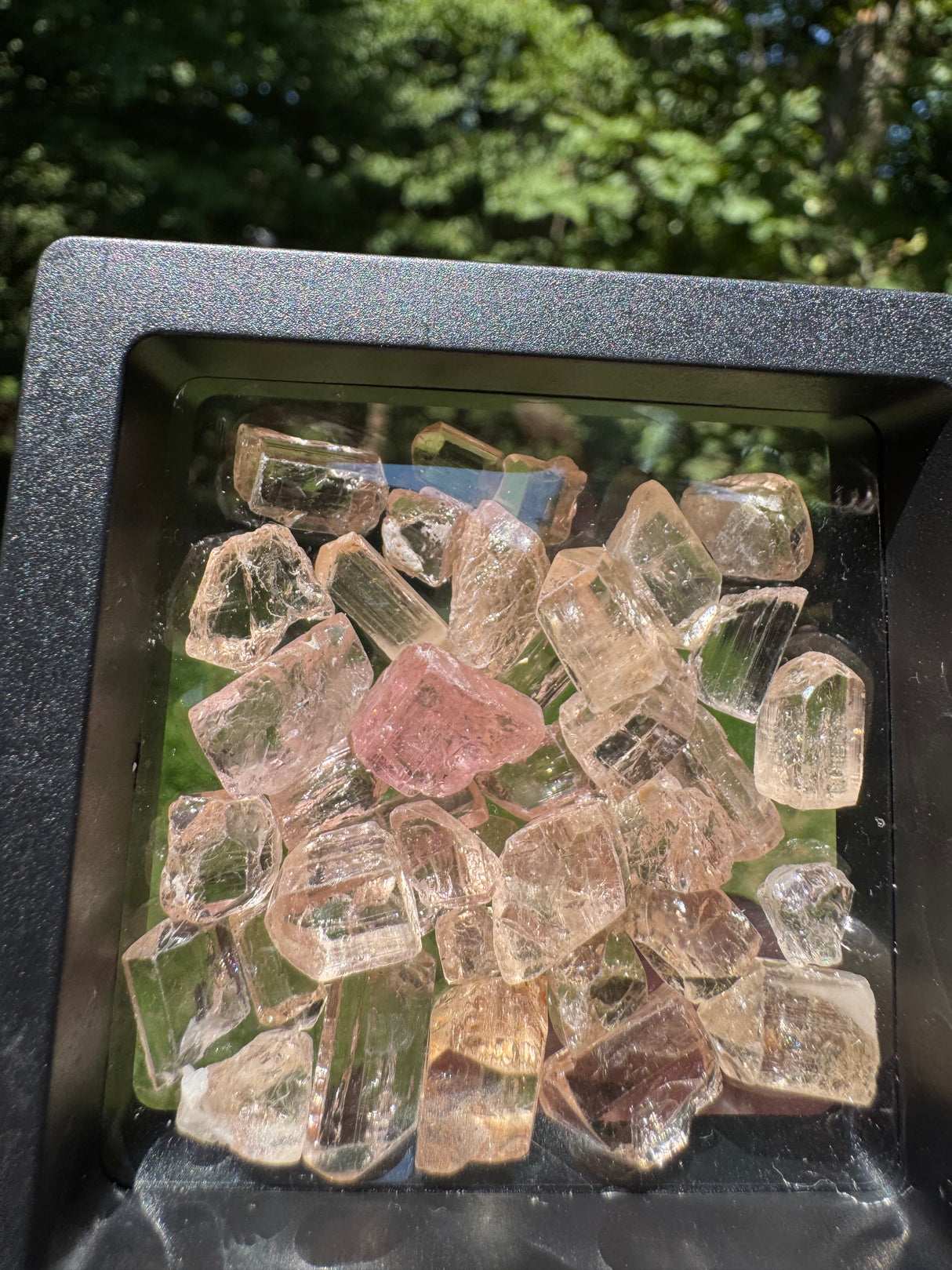 Topaz Crystals Lot w/ case - 36g