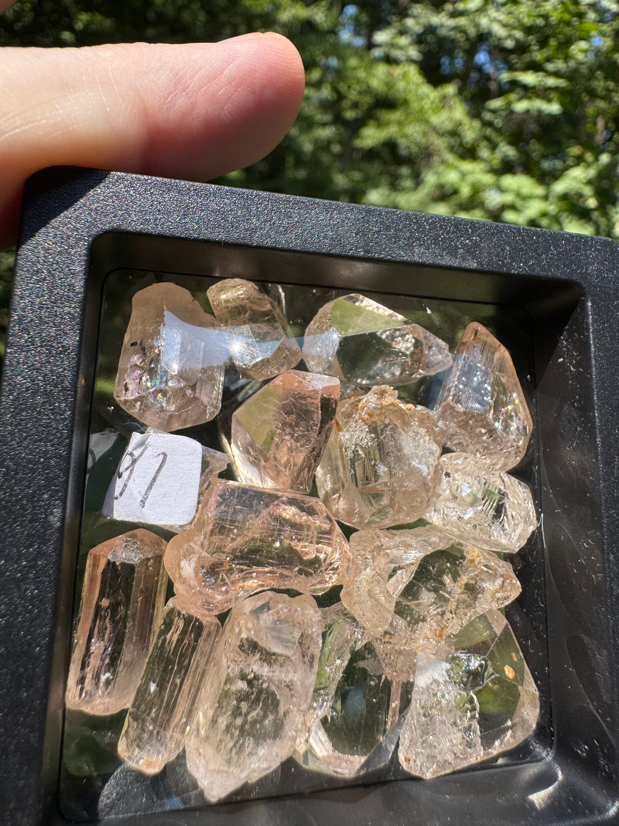 Topaz Crystals Lot w/ case - 57g