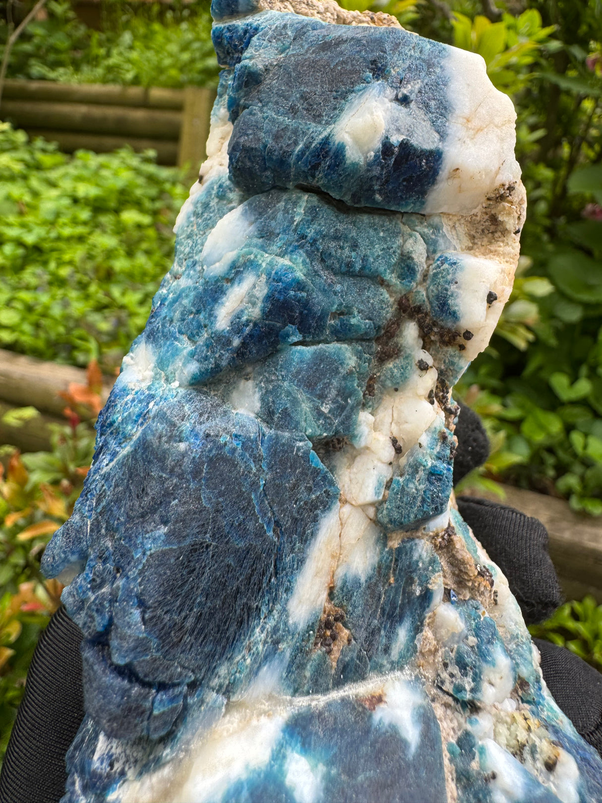 Sodalite and Haüyne Specimen - 860g