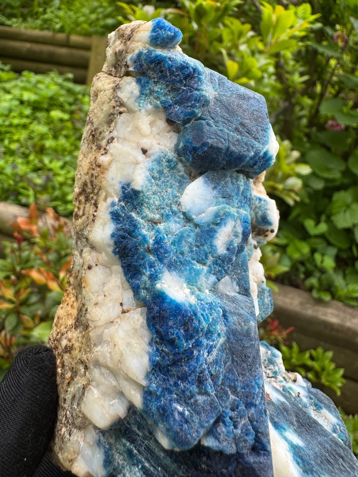 Sodalite and Haüyne Specimen - 860g