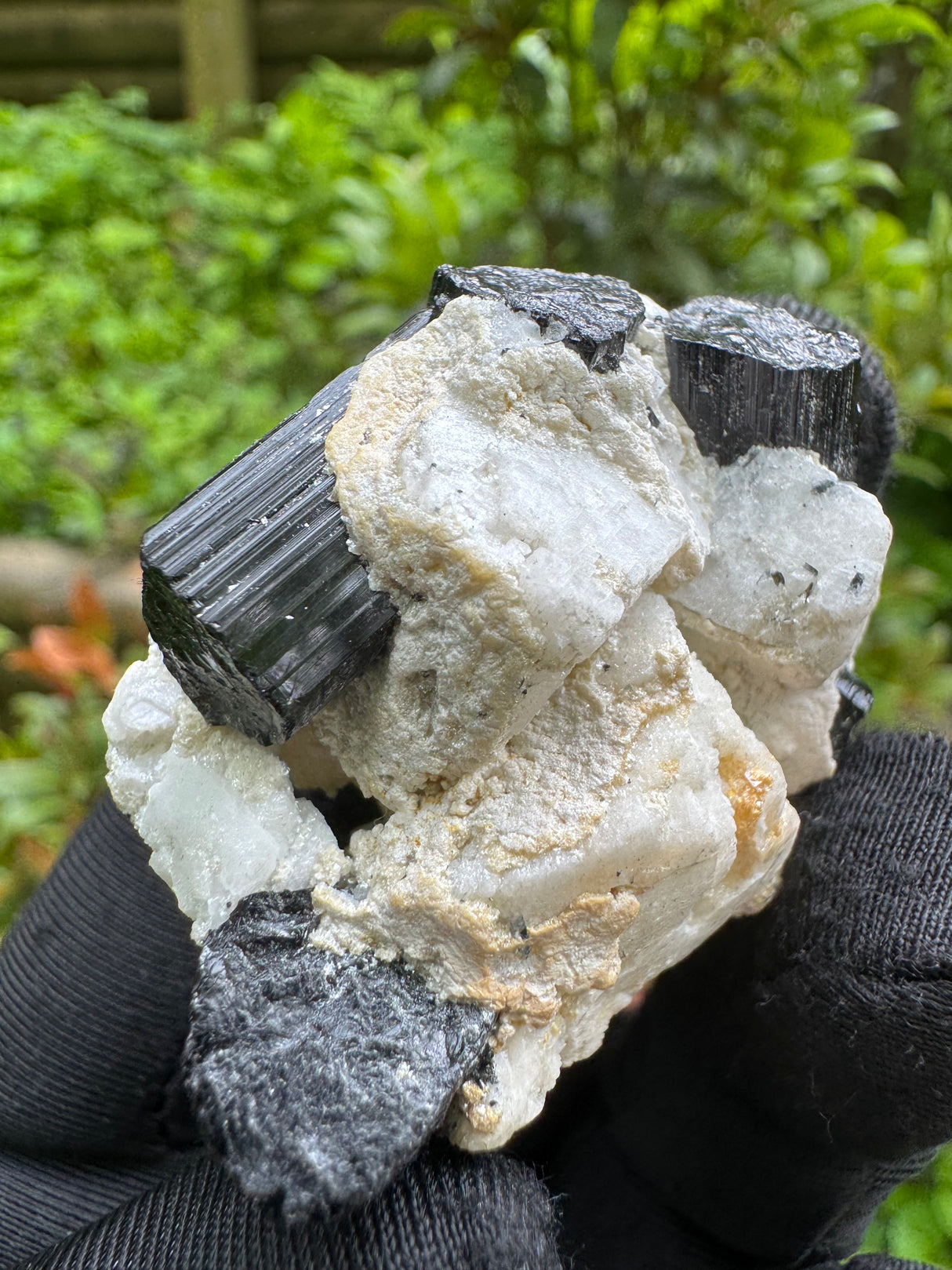 Black Tourmaline Specimen - 37g